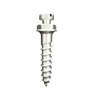 Implant Mini Screw Mushroom Button Head titanium grade 5