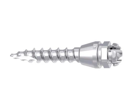 Dentaurum MiniScrew  (Cross Head)